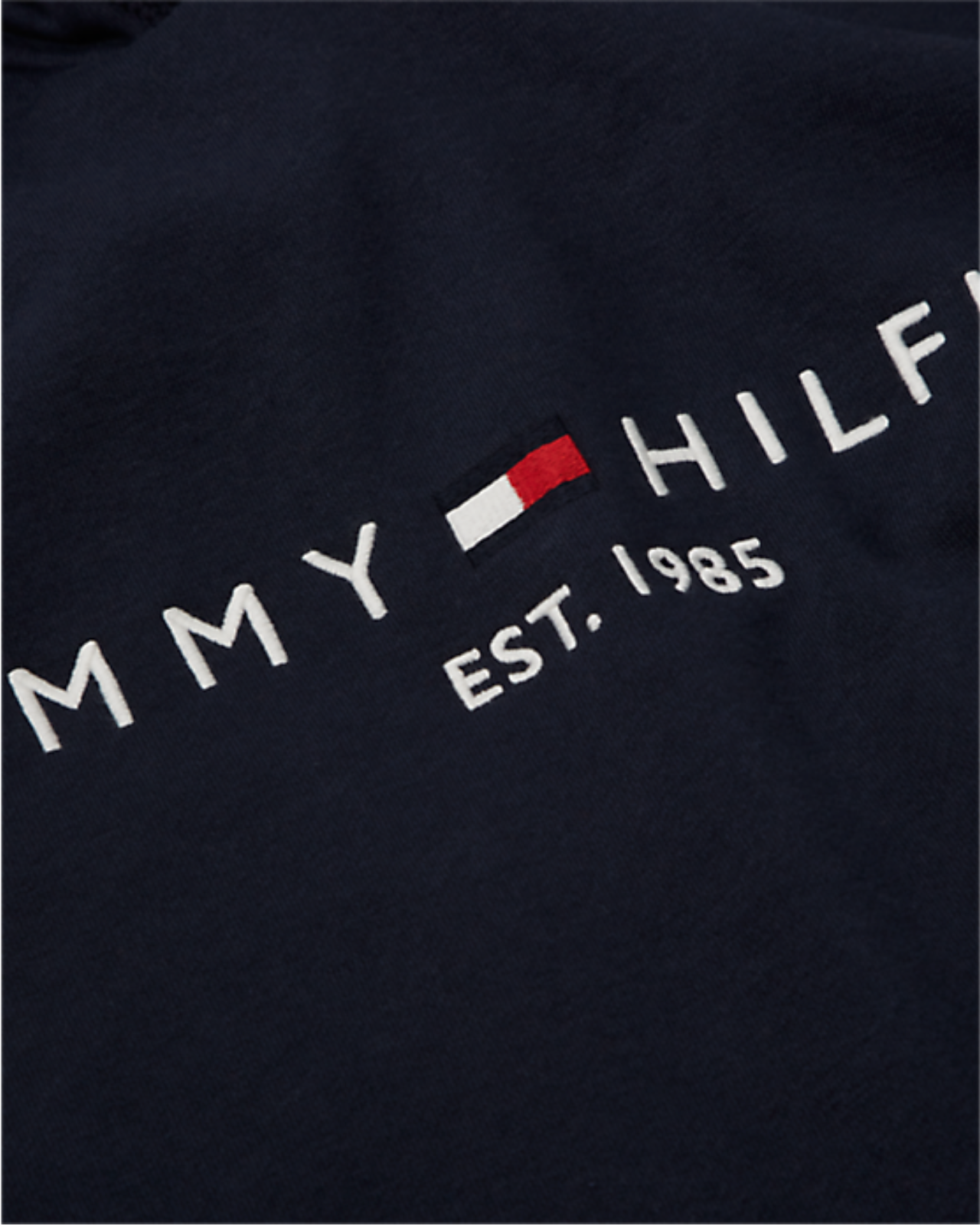 Tommy Hilfiger Logo Hoodie